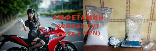 mdpv Вяземский