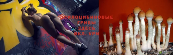 а пвп мука Вязьма