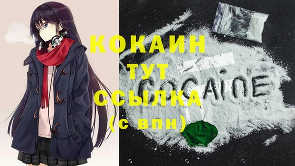 дживик Вязники