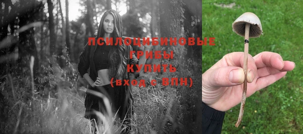 а пвп мука Вязьма