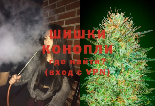 mdpv Вяземский